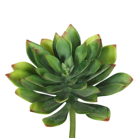 Vickerman Green Cactus Succulent - 10 in. - 3 Per Bag FA171101